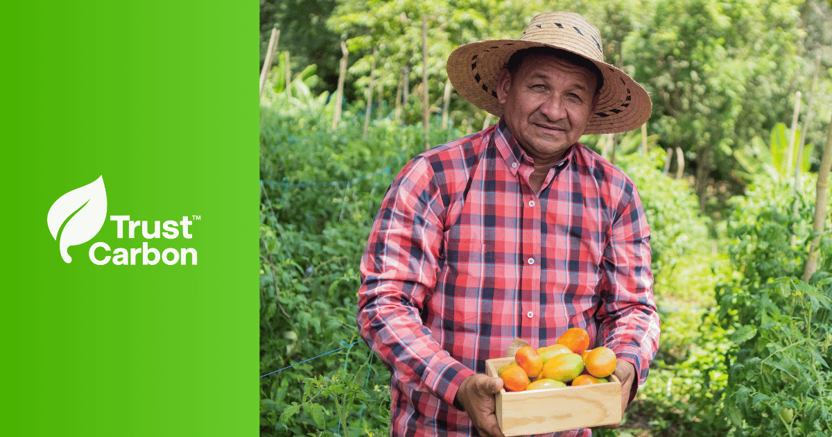 Trust Carbon Ultimate Guide